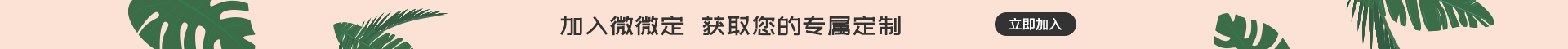加入微微定 获取您的专属定制